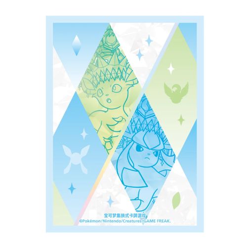 Eevolution Exclusive Gift box